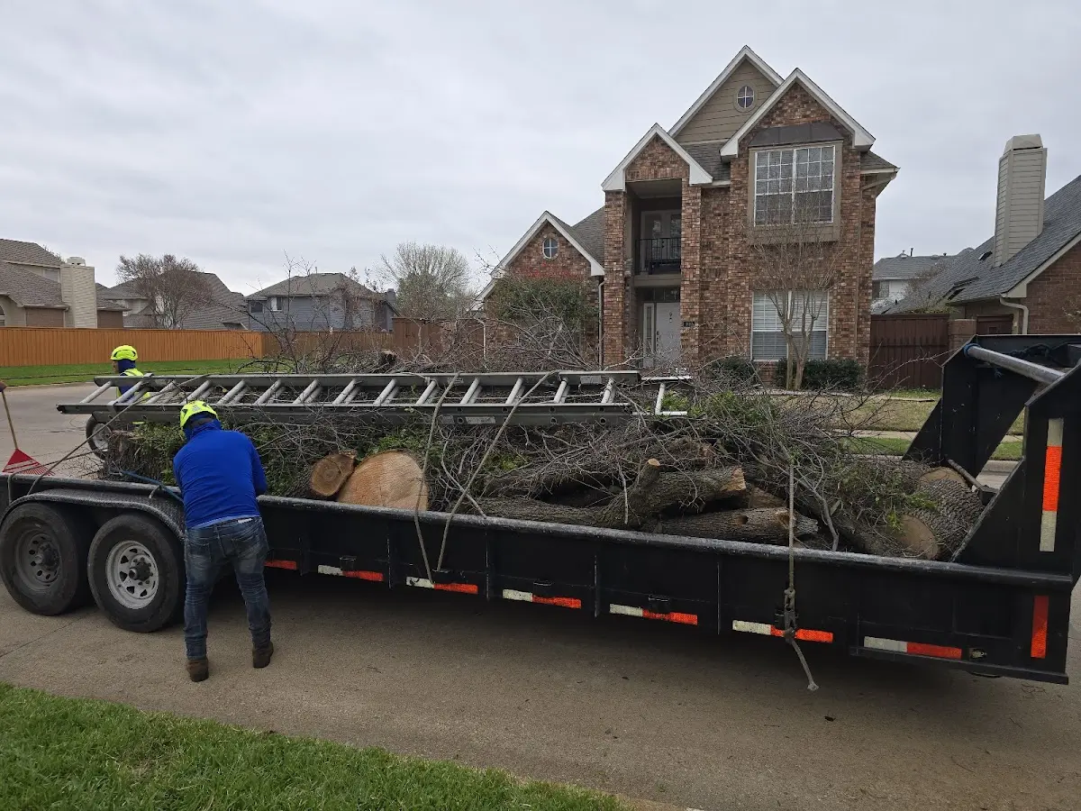 Expert Tree Fertilization with proper safety equipment in Richmond Hill